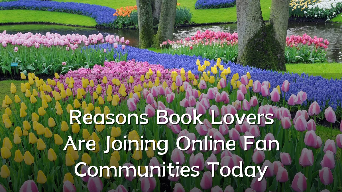 Reasons Book Lovers Are Joining Online Fan Communities Today