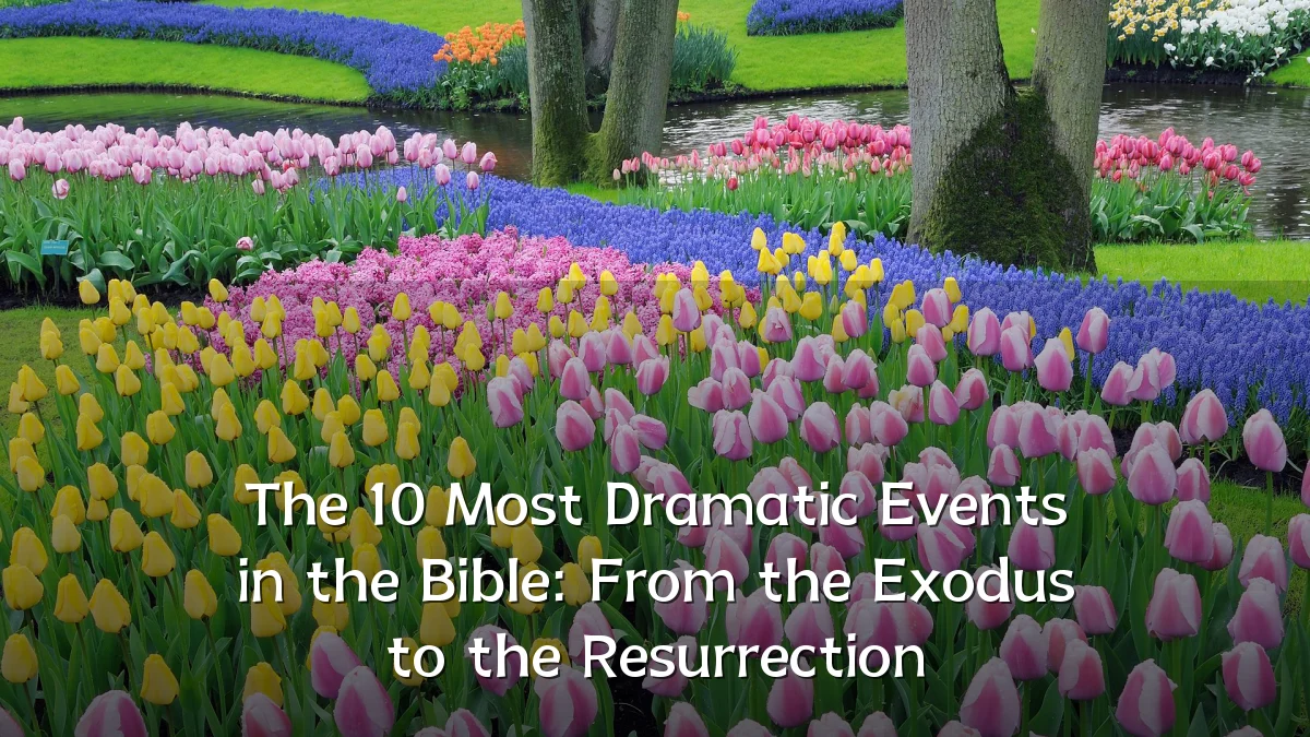 The 10 Most Dramatic Events in the Bible: From the Exodus to the Resurrection