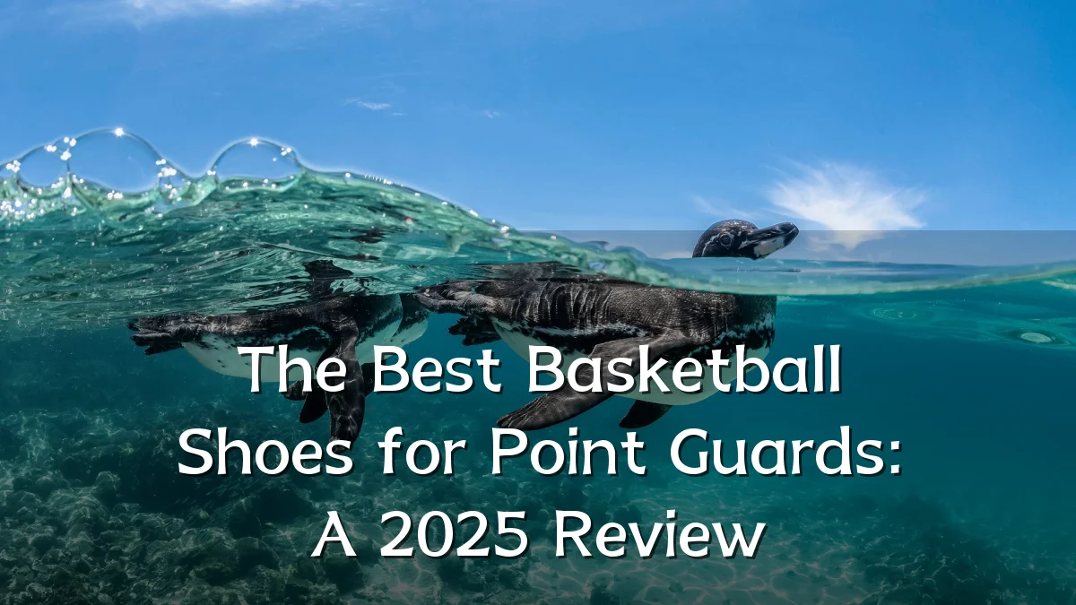 The Best Basketball Shoes for Point Guards: A 2025 Review