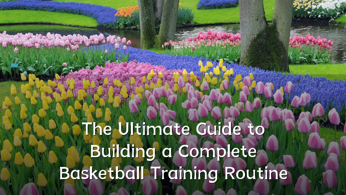 The Ultimate Guide to Building a Complete Basketball Training Routine