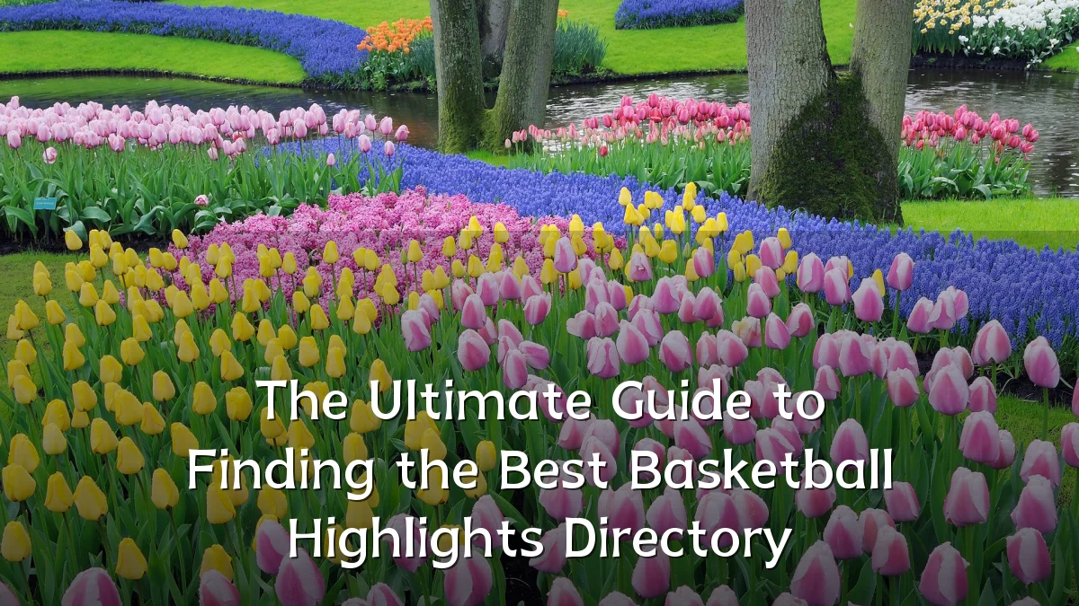 The Ultimate Guide to Finding the Best Basketball Highlights Directory