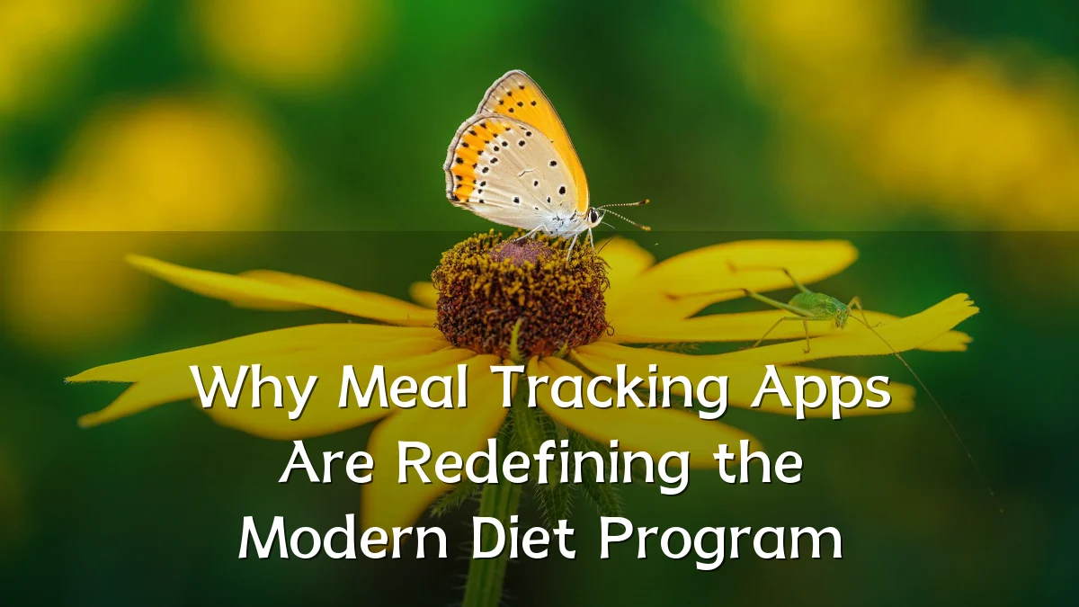 Why Meal Tracking Apps Are Redefining the Modern Diet Program