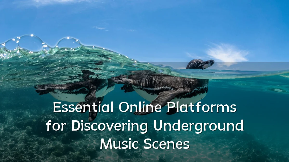 Essential Online Platforms for Discovering Underground Music Scenes