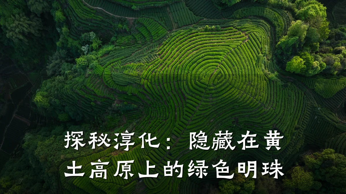 探秘淳化:隐藏在黄土高原上的绿色明珠