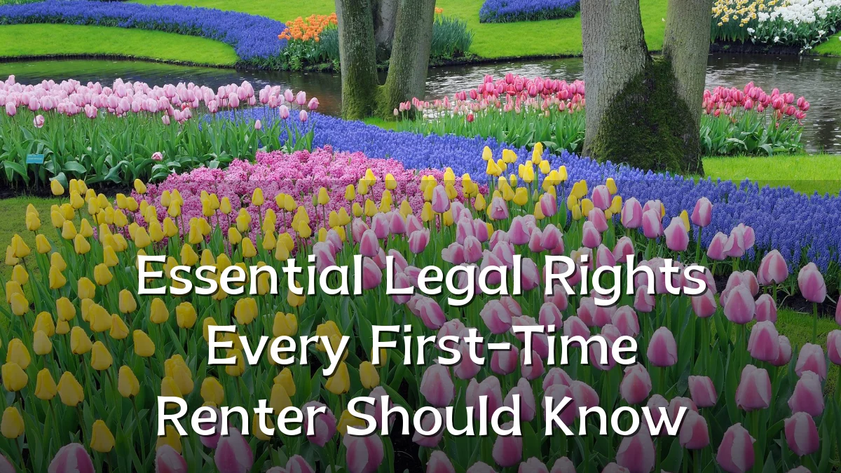 Essential Legal Rights Every First-Time Renter Should Know